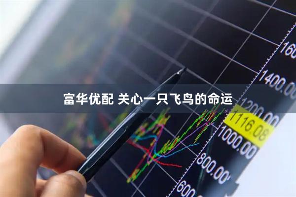 富华优配 关心一只飞鸟的命运
