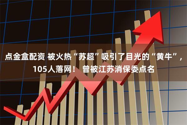 点金盒配资 被火热“苏超”吸引了目光的“黄牛”，105人落网！ 曾被江苏消保委点名