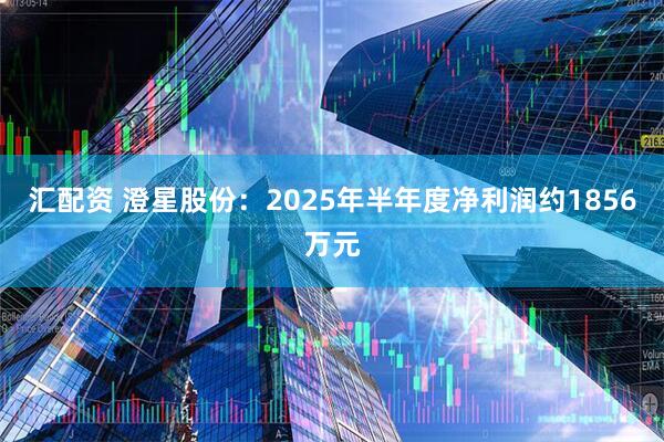 汇配资 澄星股份：2025年半年度净利润约1856万元